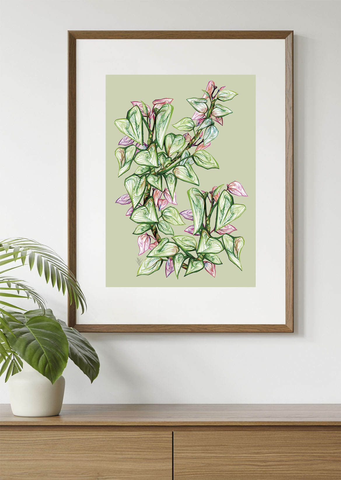 Giboia – Giboia botanical modern wall art fine art print A4 A3 2