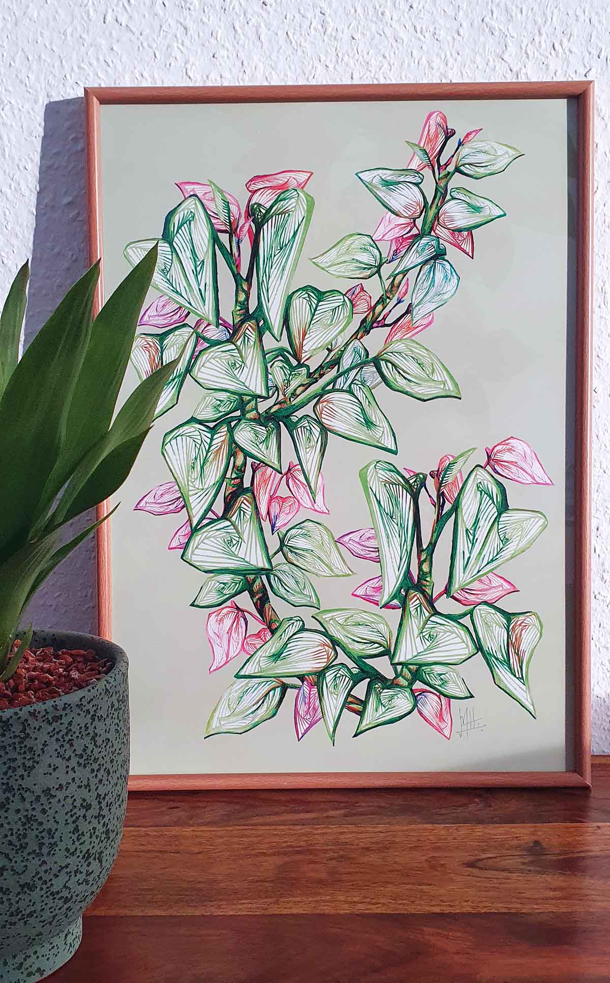 Giboia – Giboia botanical modern wall art fine art print A4 A3 4