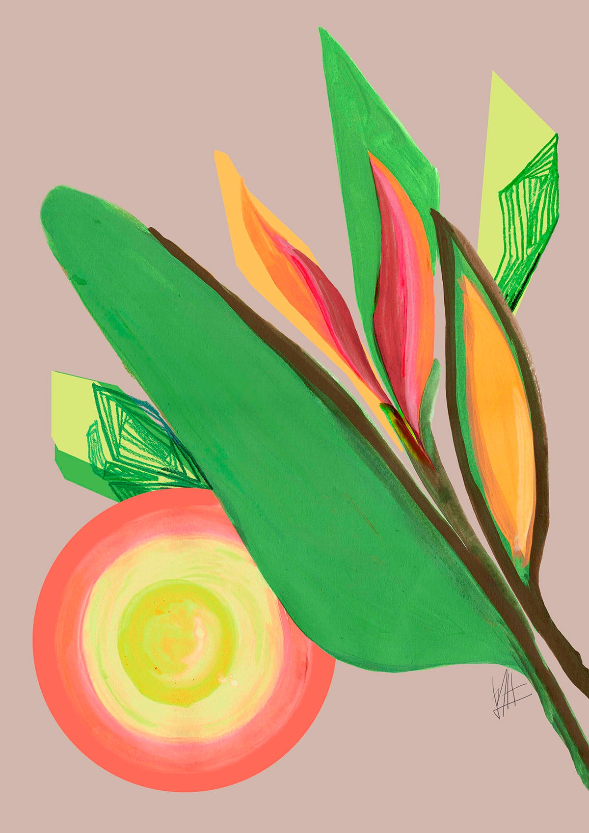 Strelitzia