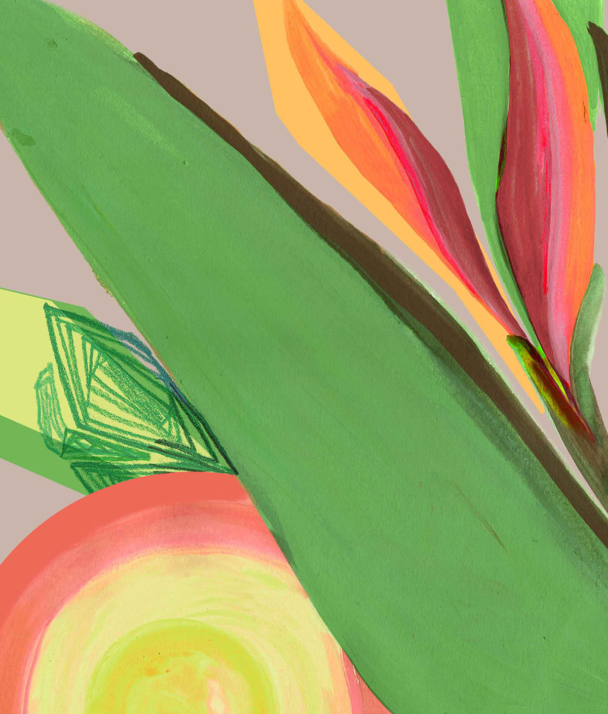 Strelitzia – Fine Art Strelitzia botanical modern wall art fine art print A4 A3 CLOSE.4
