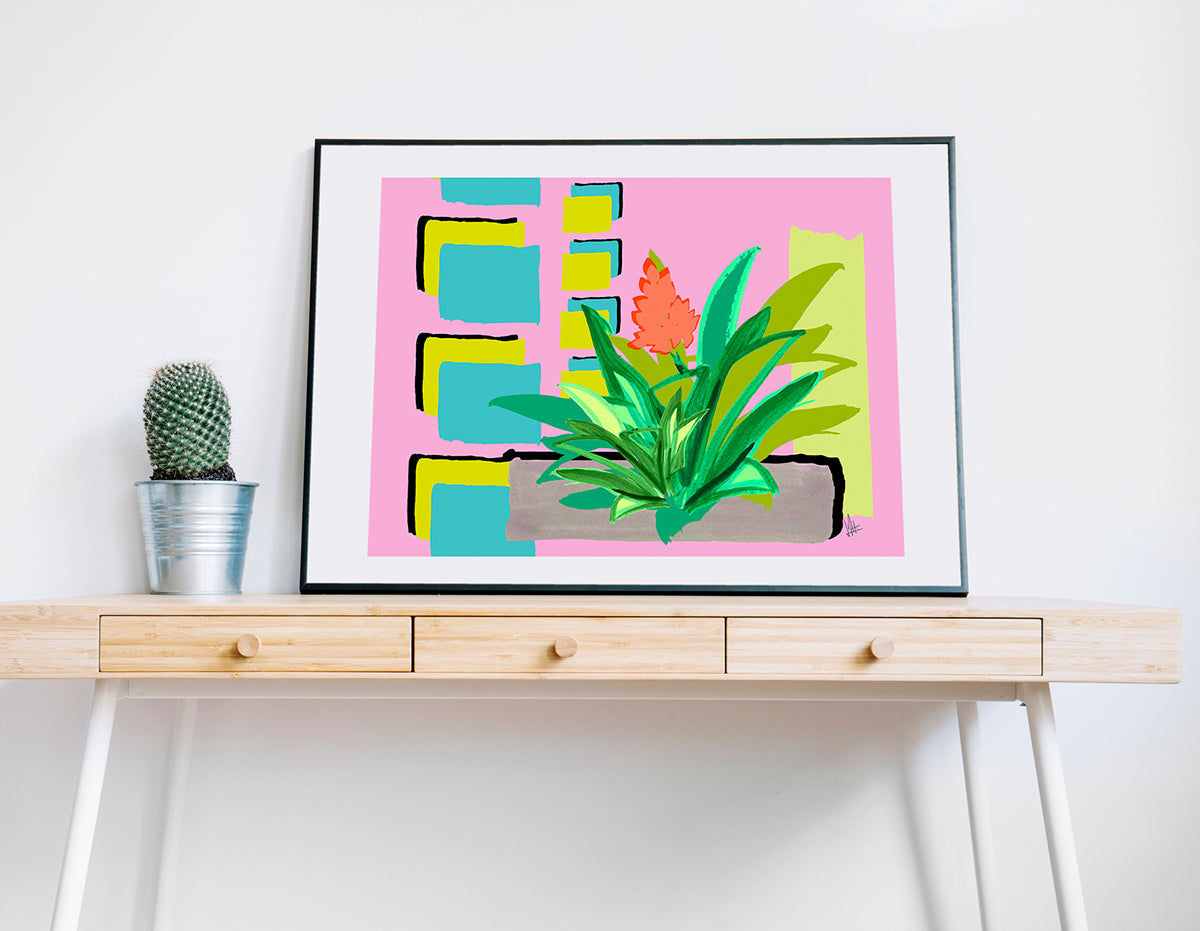 Bromeliacolor