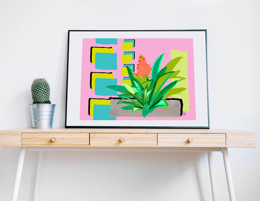 Bromeliacolor