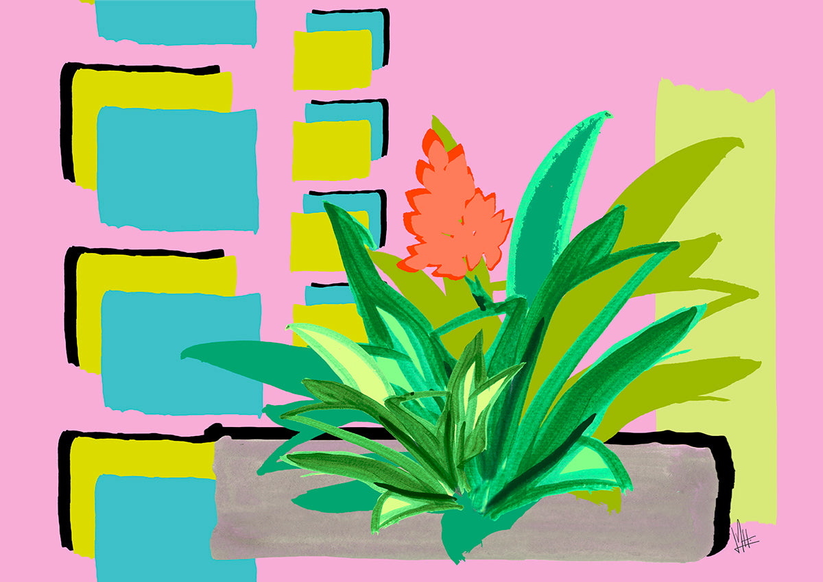 Bromeliacolor – bromeliacolor botanical modern wall art fine art print DIN A4 2