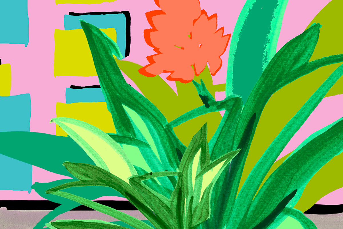 Bromeliacolor – bromeliacolor botanical modern wall art fine art print DIN A4 CLOSE