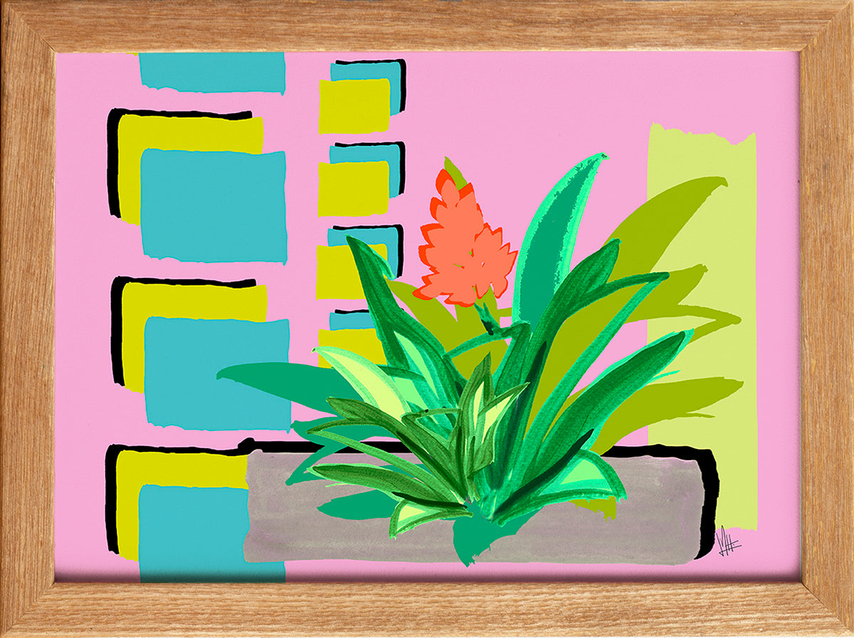 Bromeliacolor – bromeliacolor botanical modern wall art fine art print DIN A4